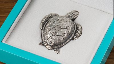 我们的朋友，保护自然环境，保护我们的朋友