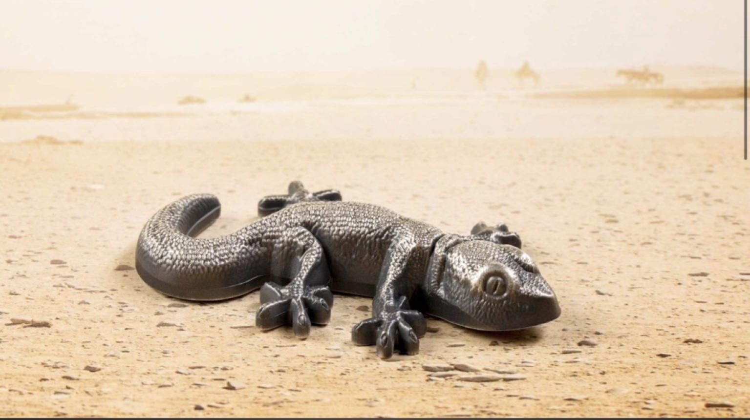 我们的朋友，保护自然环境，保护我们的朋友