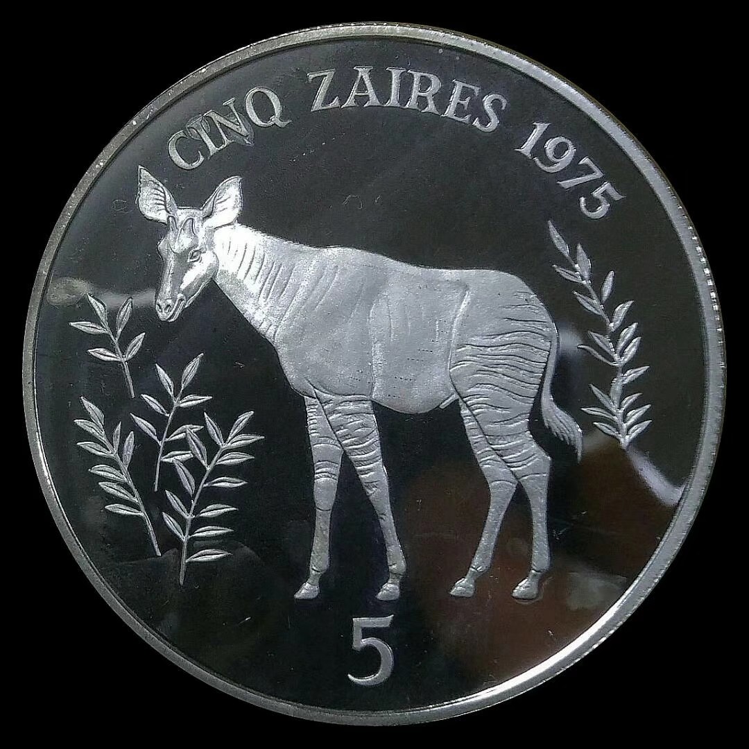 长颈鹿的近亲——神兽霍加狓