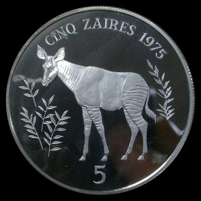 长颈鹿的近亲——神兽霍加狓