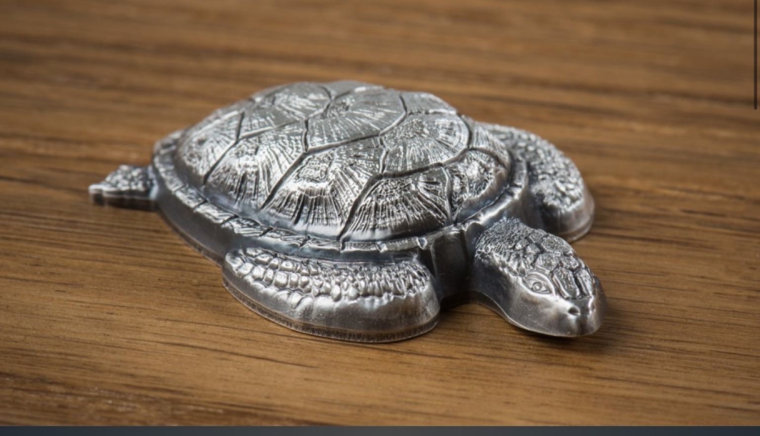 我们的朋友，保护自然环境，保护我们的朋友