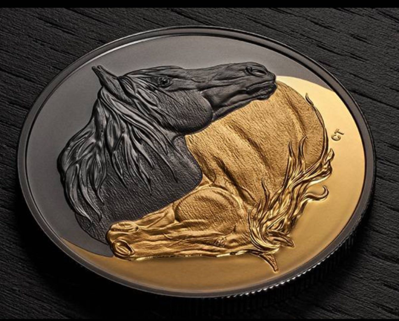 与我们共住一个地球🌍的生命