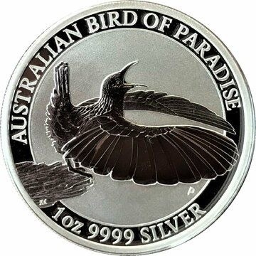 与我们共住一个地球🌍的生命