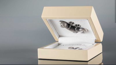 我们的朋友，保护自然环境，保护我们的朋友