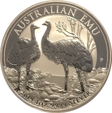 与我们共住一个地球🌍的生命