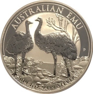 与我们共住一个地球🌍的生命