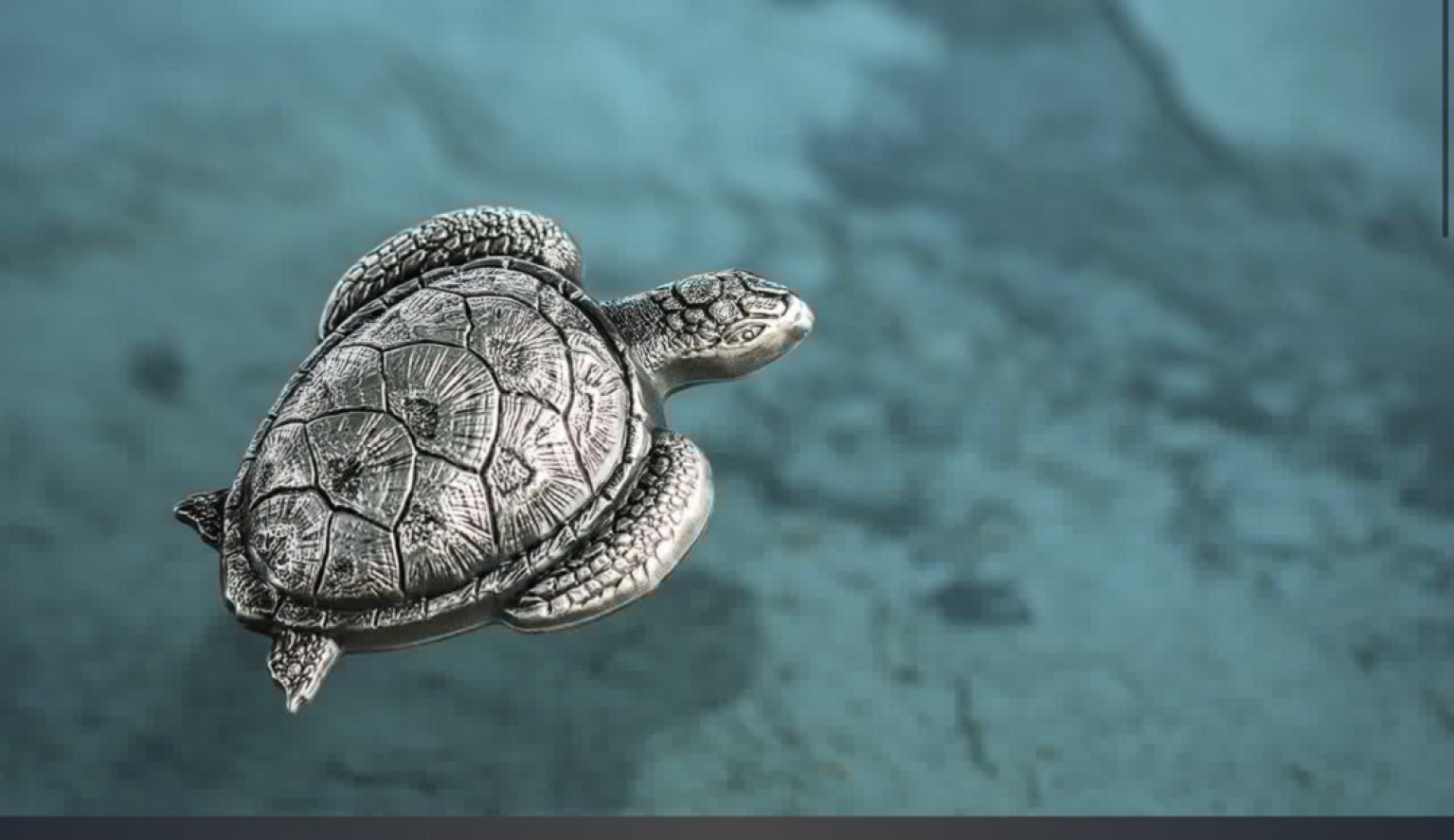 我们的朋友，保护自然环境，保护我们的朋友