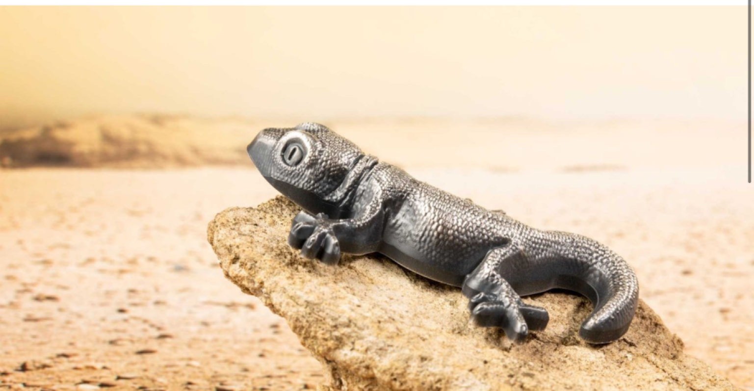 我们的朋友，保护自然环境，保护我们的朋友