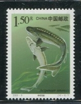 ［国家重点保护野生动物邮票］#收藏品上的动物世界