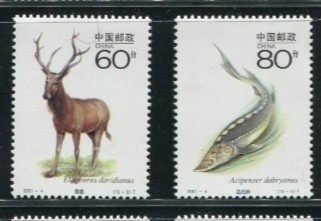 ［国家重点保护野生动物邮票］#收藏品上的动物世界