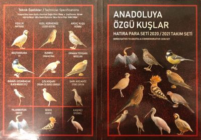 土耳其安纳托利亚鸟类