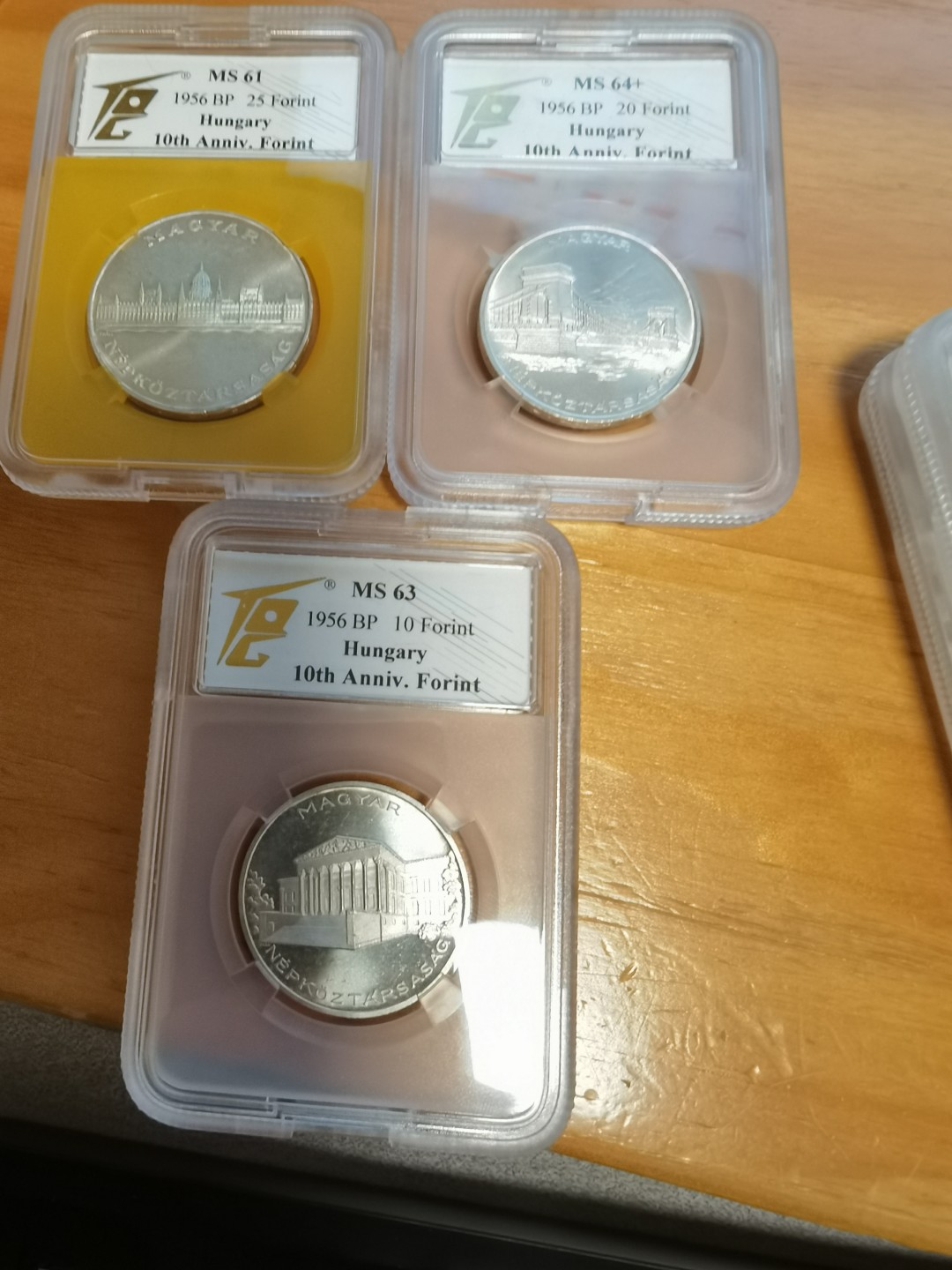 第一次送拍TQG，返图！