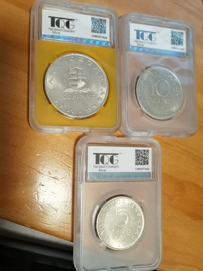 第一次送拍TQG，返图！