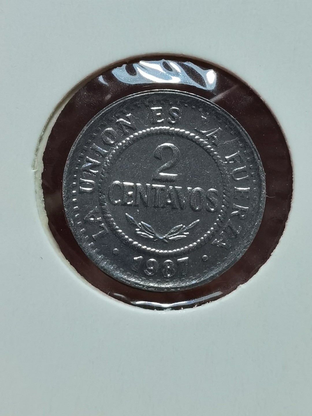 玻利维亚 1987、1991、1995、1997、2001、2004、2006、2008