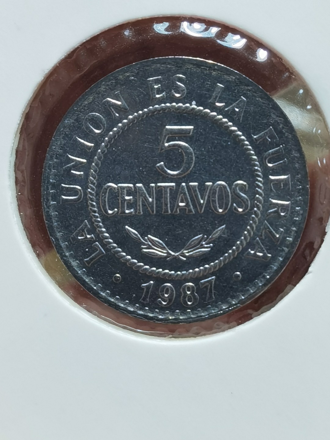 玻利维亚 1987、1991、1995、1997、2001、2004、2006、2008