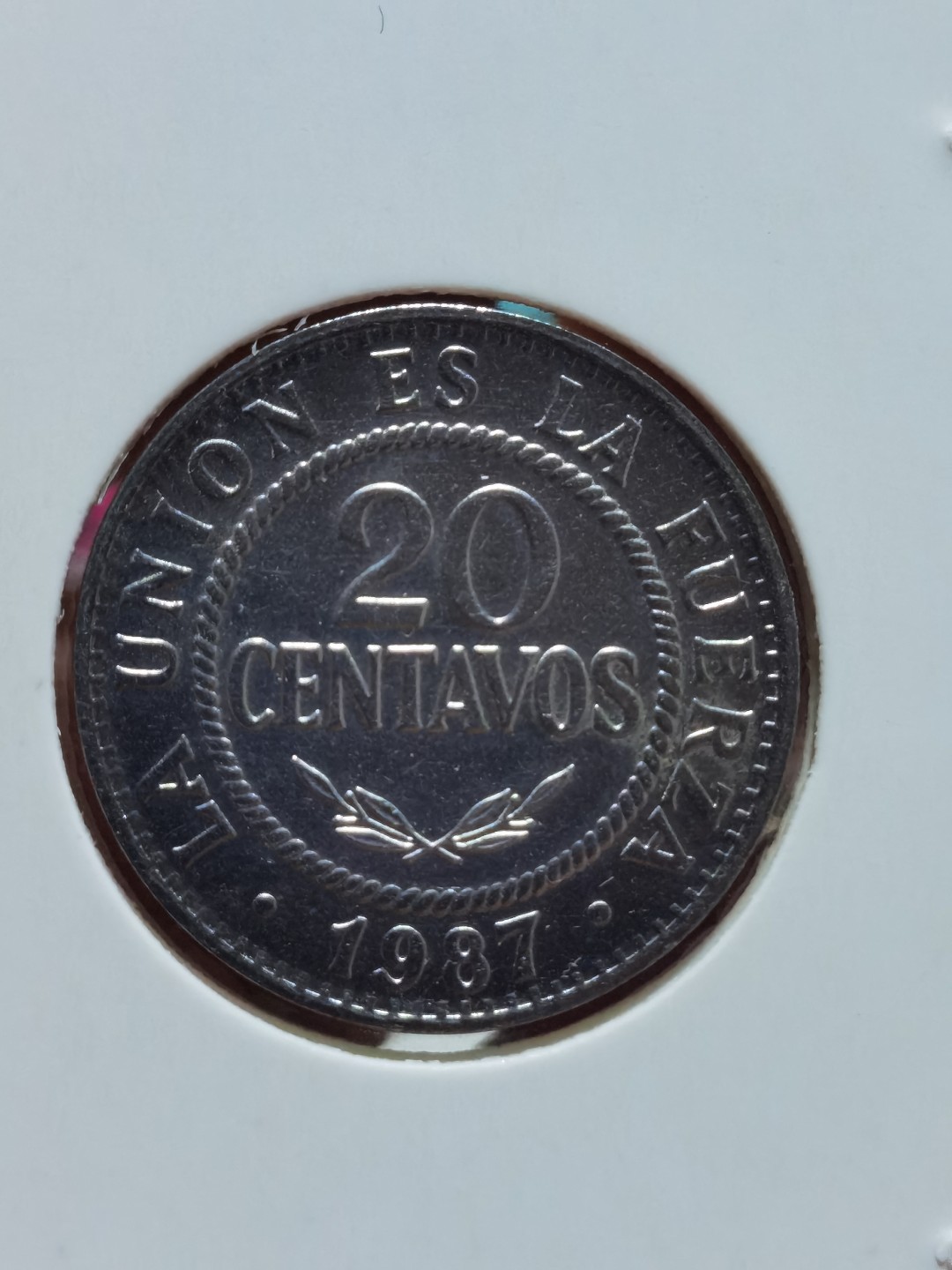 玻利维亚 1987、1991、1995、1997、2001、2004、2006、2008