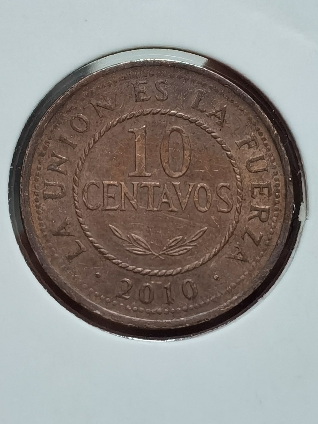 玻利维亚 2001、2006、2008、2010、2012