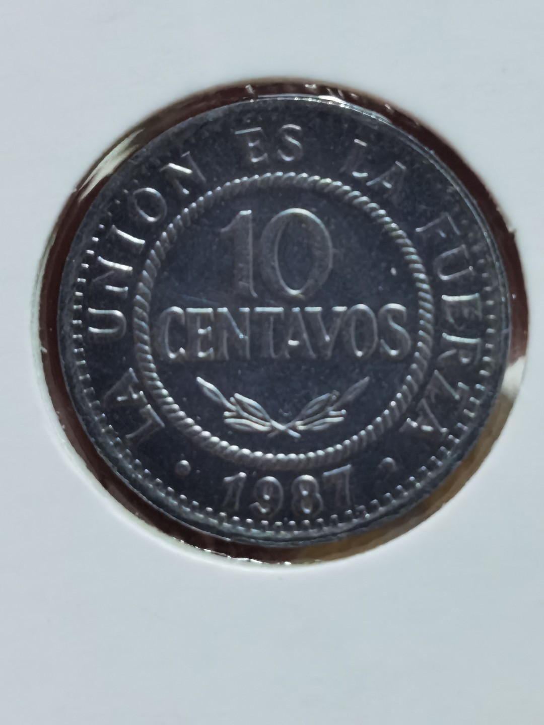 玻利维亚 1987、1991、1995、1997、2001、2004、2006、2008