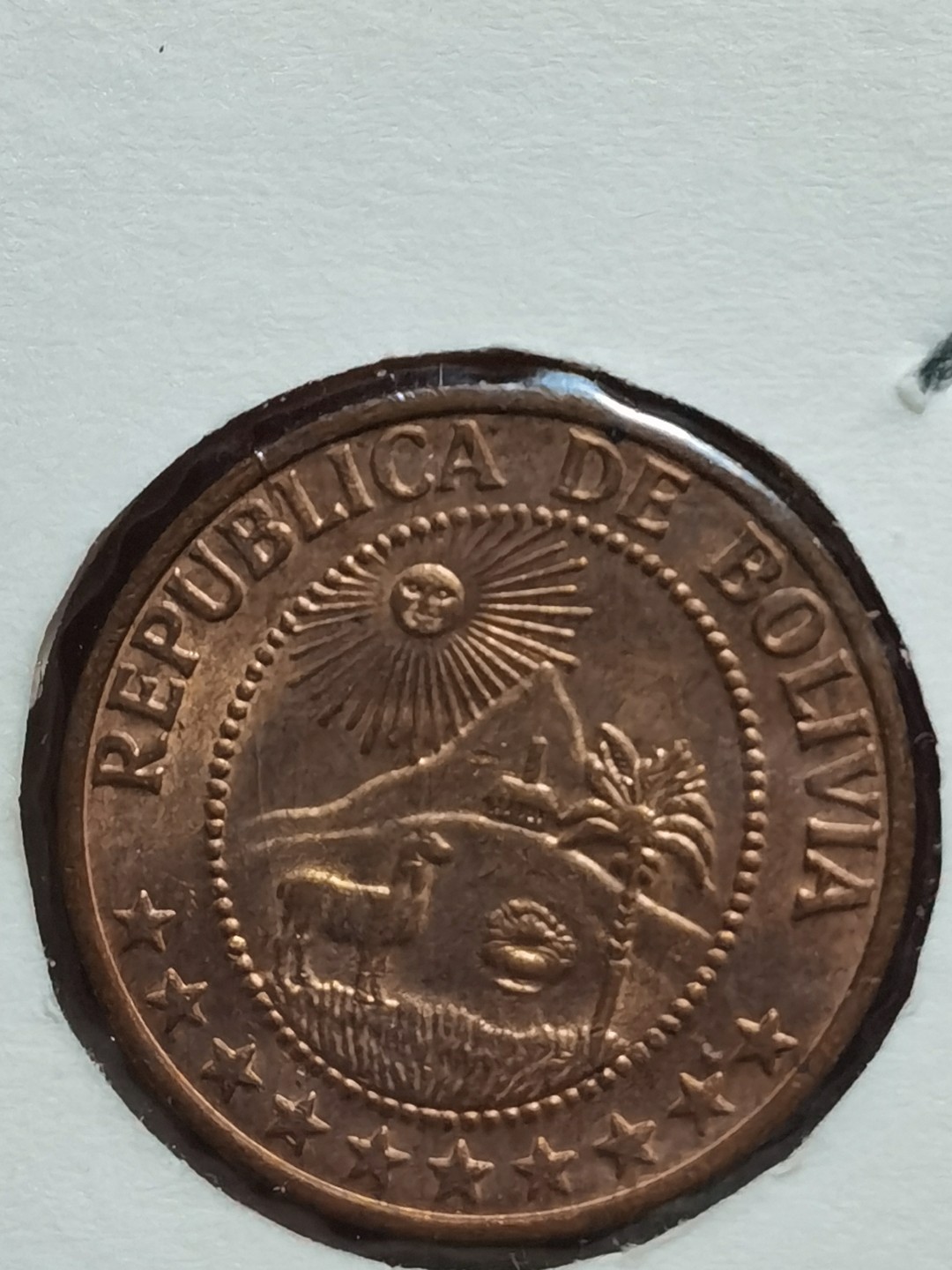 玻利维亚 1965、1967-1974、1978、1980