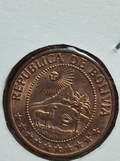 玻利维亚 1965、1967-1974、1978、1980