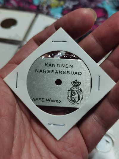 格陵兰群岛 kantinen narssarssuaq