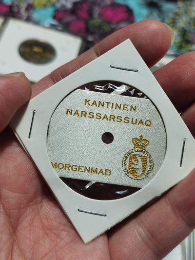 格陵兰群岛 kantinen narssarssuaq