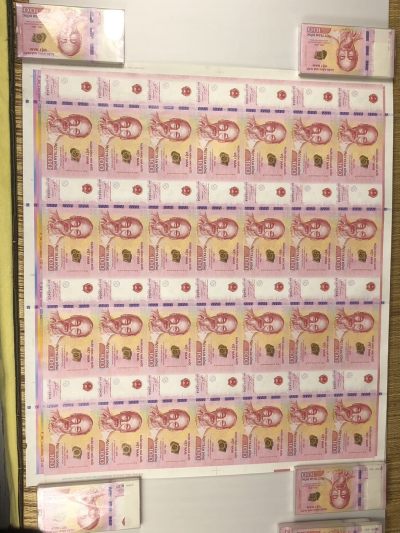越南国家银行65周年纪念钞整版钞