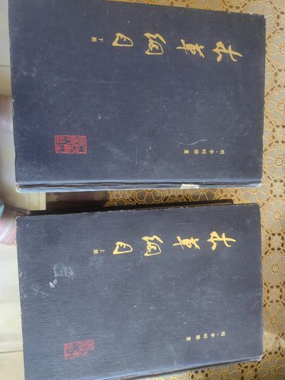 老物件，本草纲目上下册