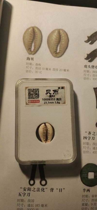 古代的贝币一枚