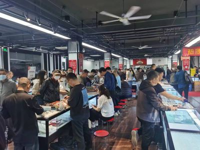 【钱币交流会】【南京】-第11届钱币交流会【2023.4.21-4.23】