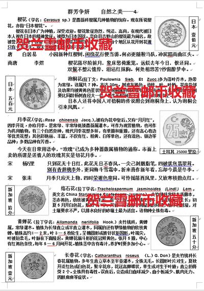 春去夏至，百花飘落。留住美好，就在这里。（第一篇）