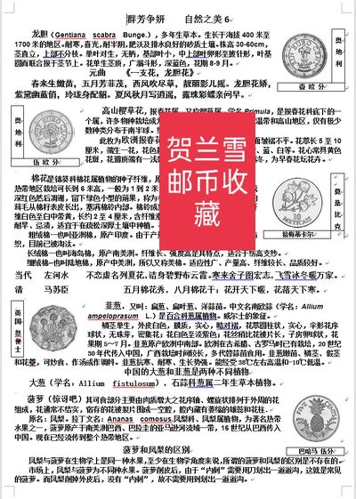 春去夏至，百花飘落。留住美好 就在这里。（第二篇）