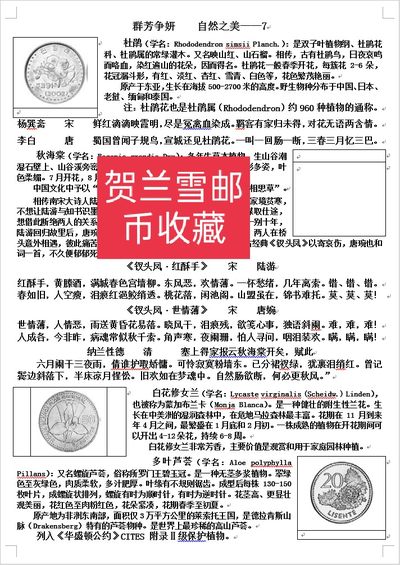 春去夏至，百花飘落。留住美好 就在这里。（第二篇）