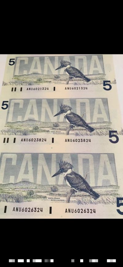 加拿大早期联体裁剪纸钞
