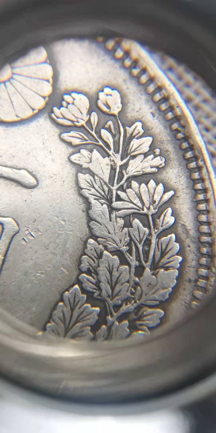 发现存世仅此一枚的银币