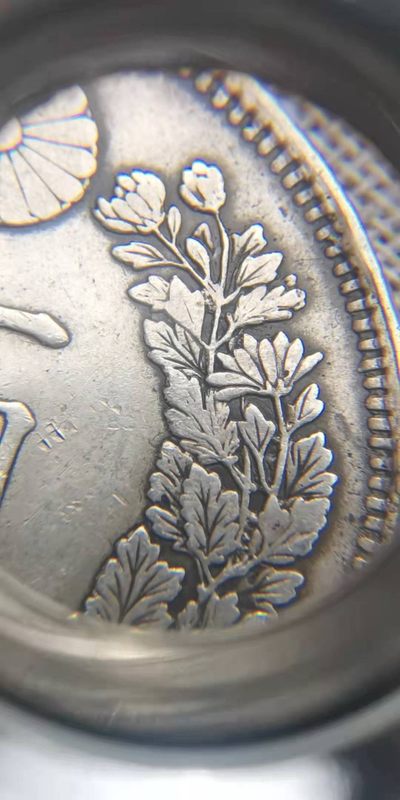 发现存世仅此一枚的银币