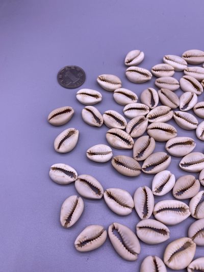 美品贝币100枚，品相如图，350包快递