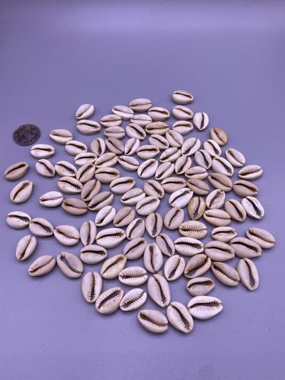 美品贝币100枚，品相如图，350包快递