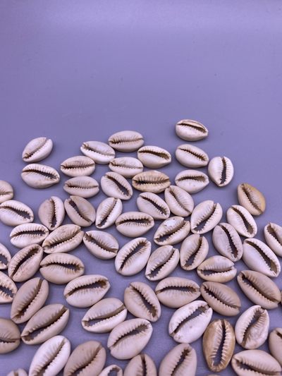 美品贝币100枚，品相如图，350包快递