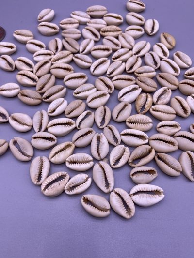 美品贝币100枚，品相如图，350包快递