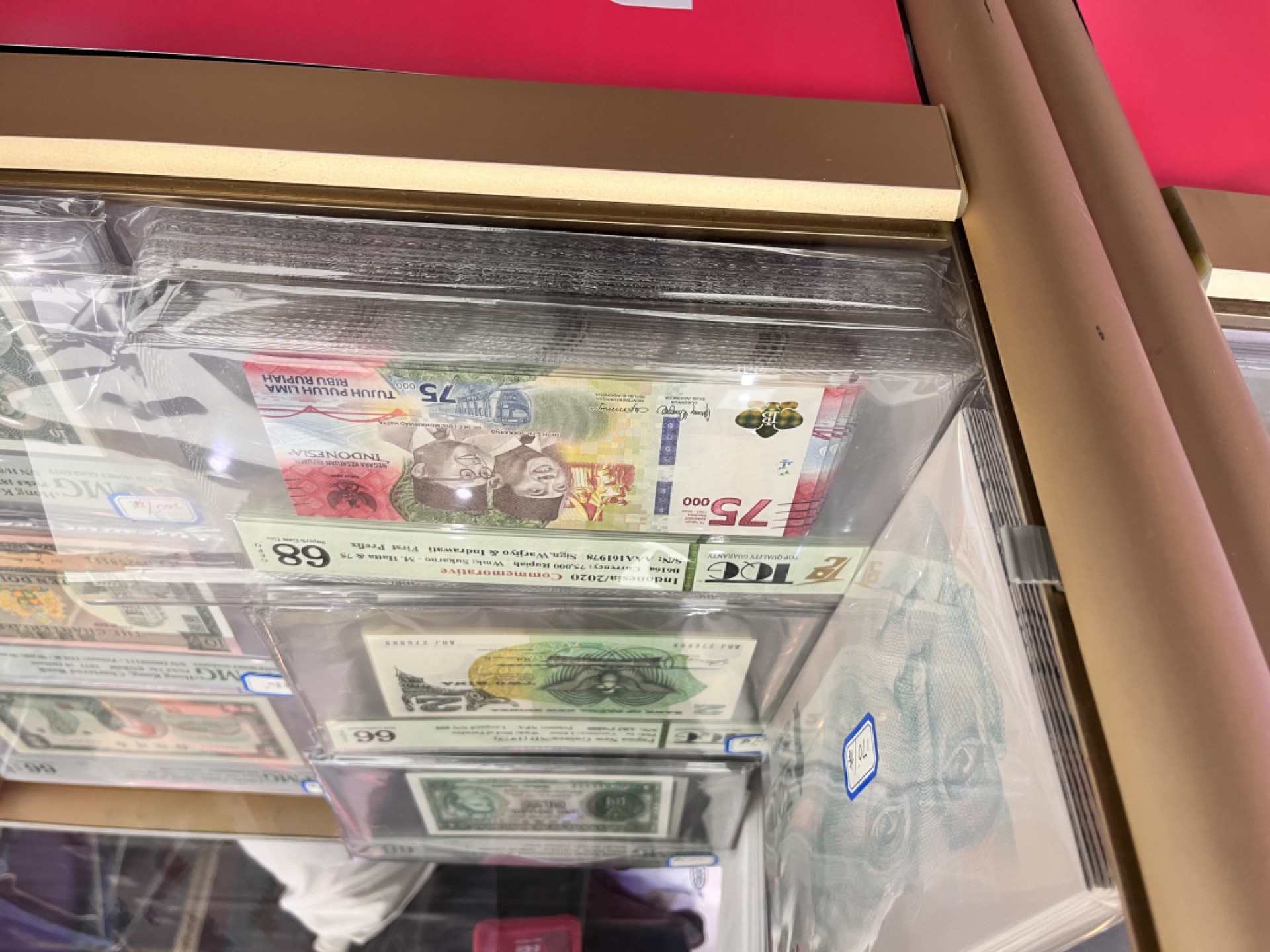 收获满满-记云洲麦稀奇世界钱币展之行