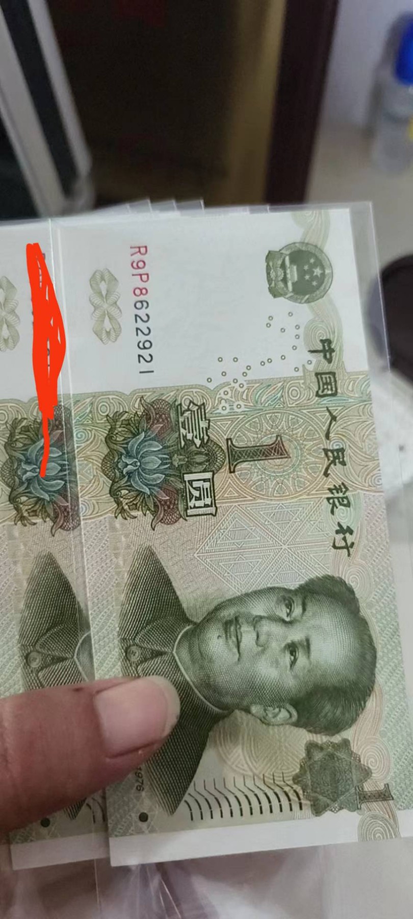 R9P8622921标十
