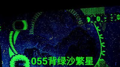 出各种荧光币，大叶兰背金沙 月亮币 三潭印月 西湖魅影 一根毛 背金5 太极姐妹花等等