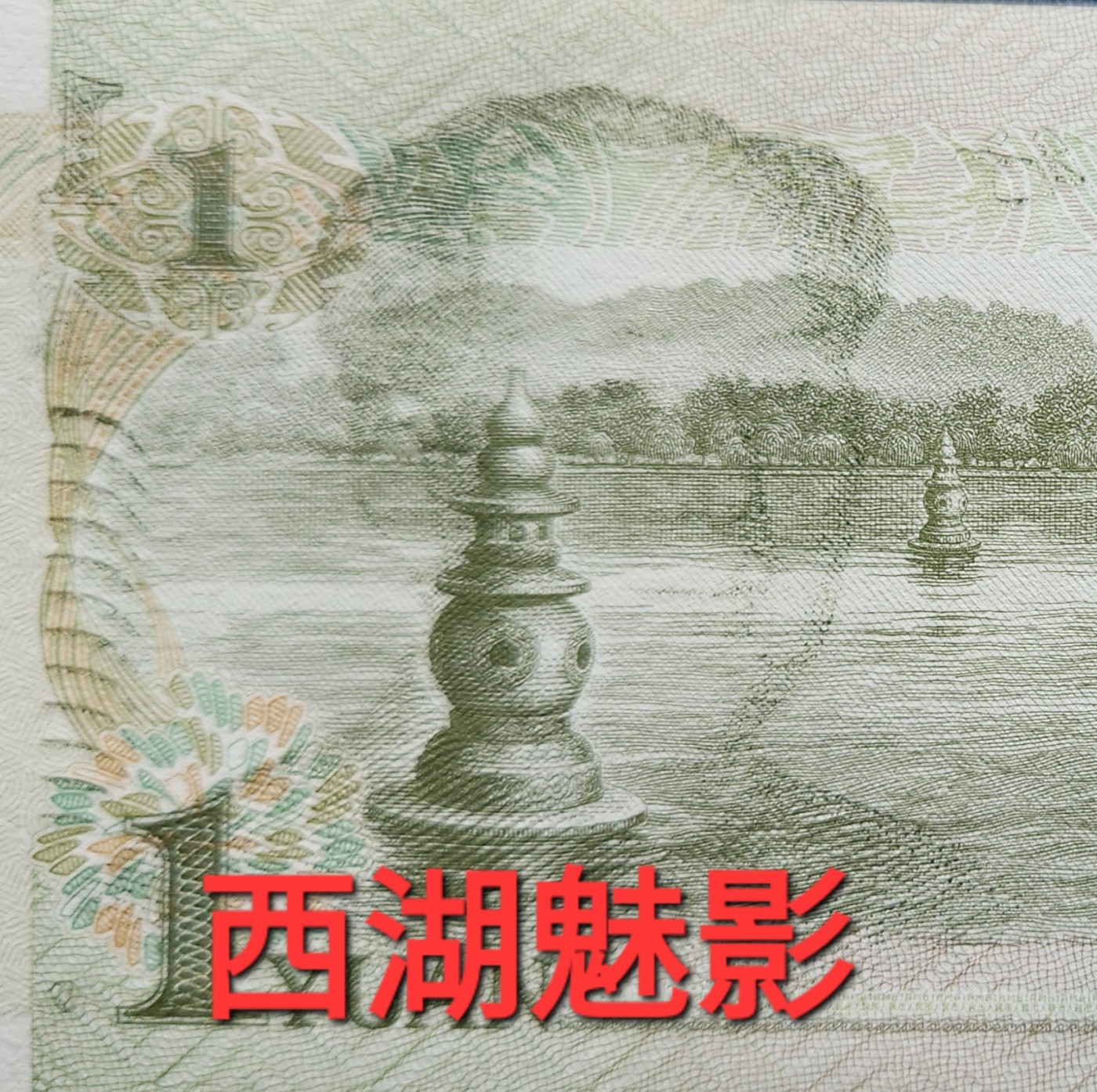 出货
大叶兰背金沙，一根毛，显叶兰纤云版，月亮币，金口1，西湖魅影，055背绿沙，055背金5，055太极姐妹花，0510金龙头等等