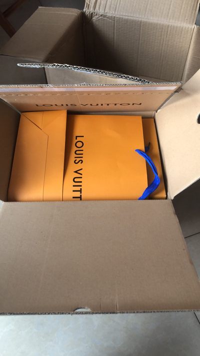 给小姐姐发的L V老花皮单肩包