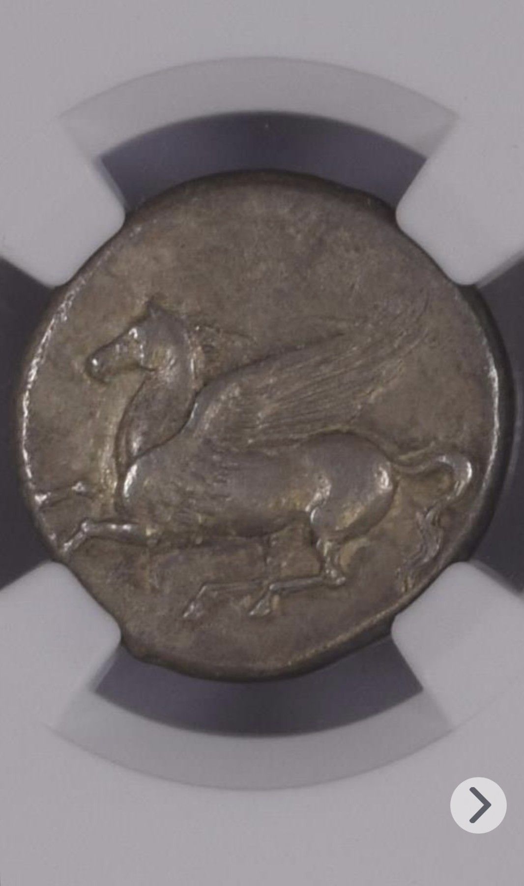 古希腊叙拉古飞马银币