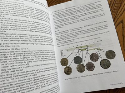 【翻书小记】《下缅甸的大型铅锡钱币》