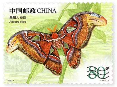 【邮票赏析】【中国邮票】昆虫【二】【2023.8.23】