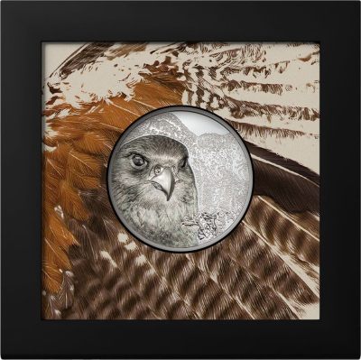 【新品到货】蒙古2023年珍稀动物猎隼双面高浮雕纪念币: 3盎司加厚银币，2盎司精制仿古镜面银币和50克加厚铜币[强]