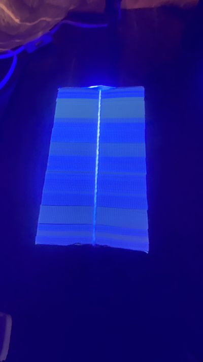 SL96355001中国红纤云